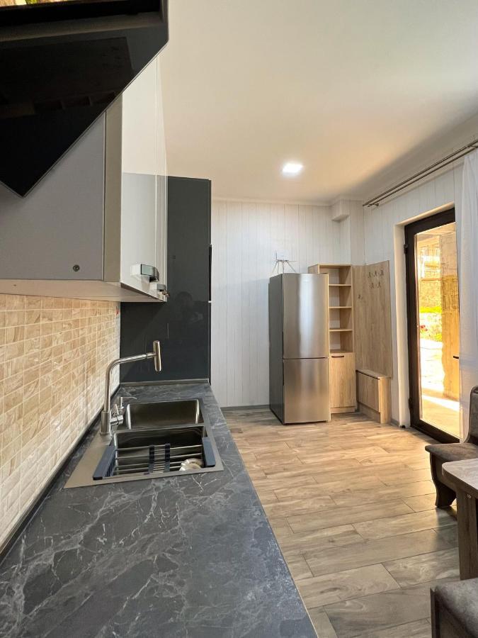 Royal Galaxy Apartment Kazbegi Luaran gambar